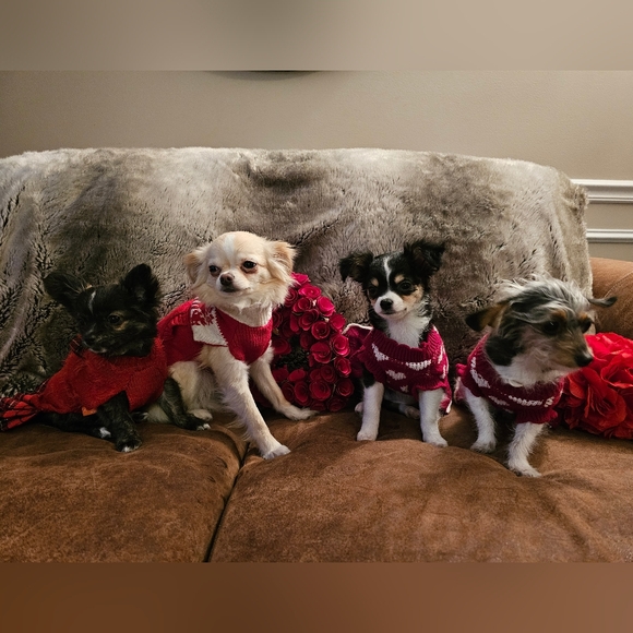 Meet your Posher, Megan - Picture 3 of 3